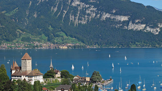 Lake Thun