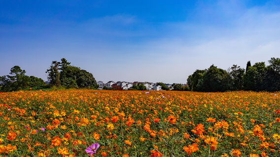 Gaochun International Cittaslow Tranquil