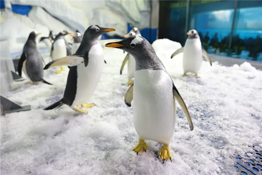 3_泉城歐樂堡海洋極地世界