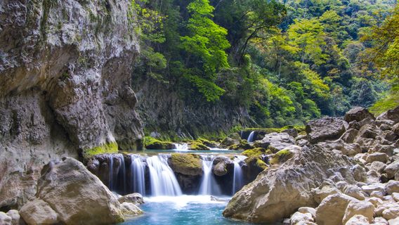Wolong Valley Drifting