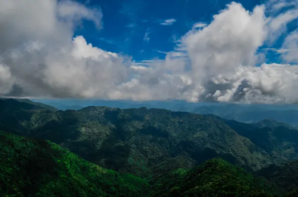 Các khách sạn ở Dimapur