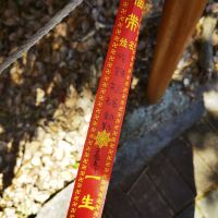 評論圖片 9