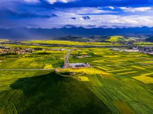 油菜花觀花台