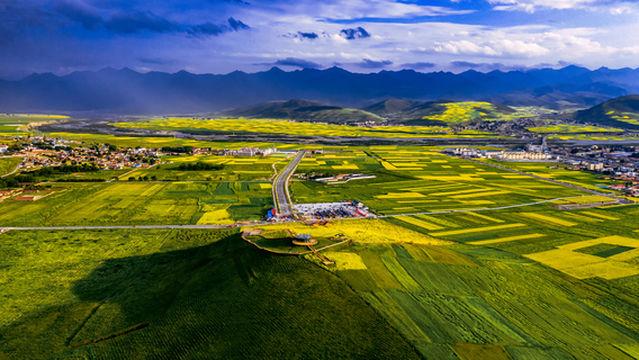 Rape Flower Observation Deck