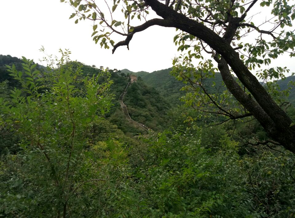Yunmengshan Great Wall Relics Park (East Gate) attraction reviews -  Yunmengshan Great Wall Relics Park (East Gate) tickets - Yunmengshan Great  Wall Relics Park (East Gate) discounts - Yunmengshan Great Wall Relics