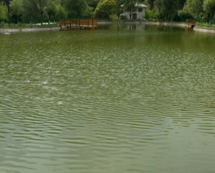 Wuqixian Tui Geng Hai Forest Park