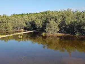 Portland Bight Discovery Centre