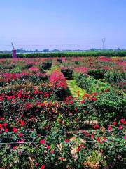 Tianmenzhiqing Farm