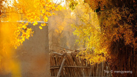 Xinjiang Opukan Artist Village