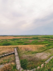 Manas National Wetland Park