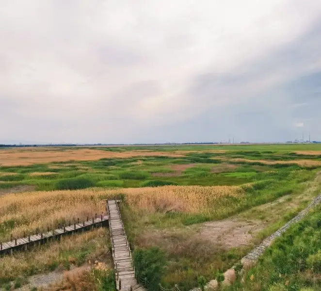 Manas National Wetland Park