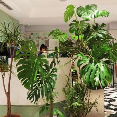 One Step Garden（Anhe Garden） User Photo