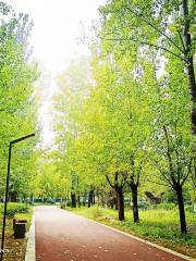 Qufu People's Park