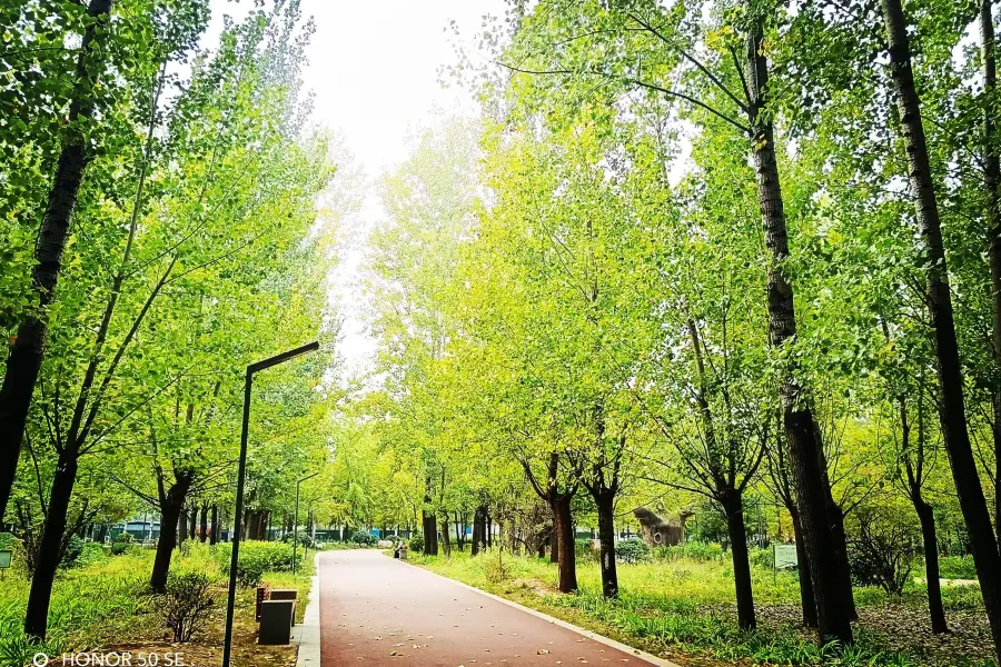 สวนสาธารณะประชาชน Qufu