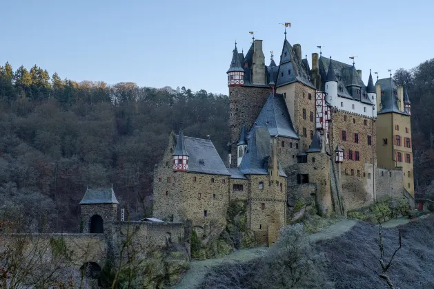 Разрешено размещения с домашними животными Отели в г. Кохем