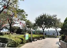 Парк Цзян Цзян