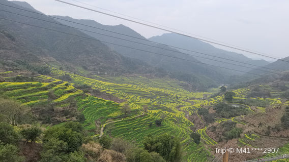 Xiuning
