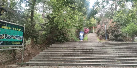 大花山生態遊園