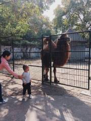 安慶動物園