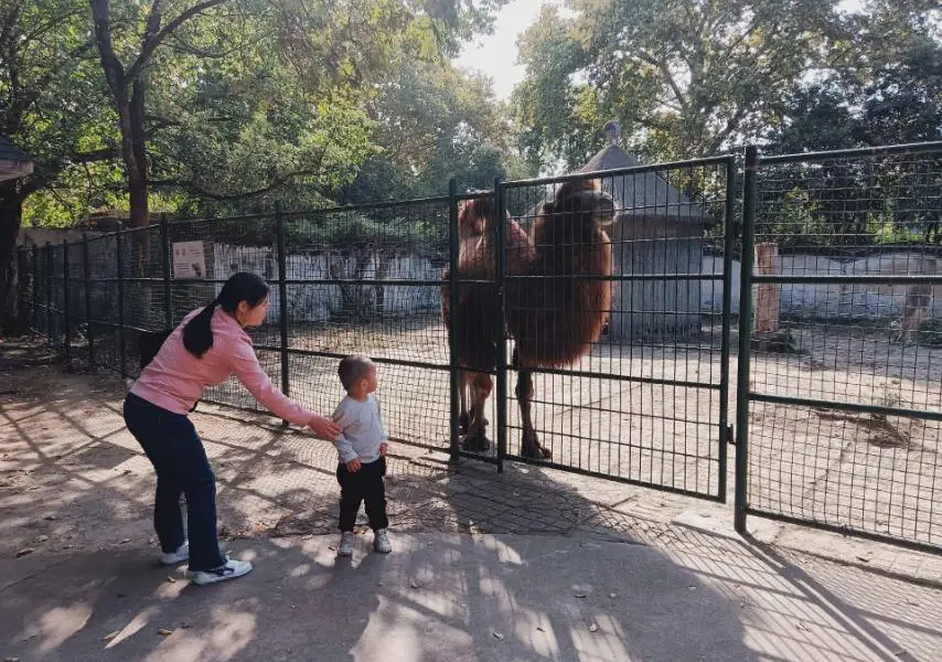Anqing Zoo
