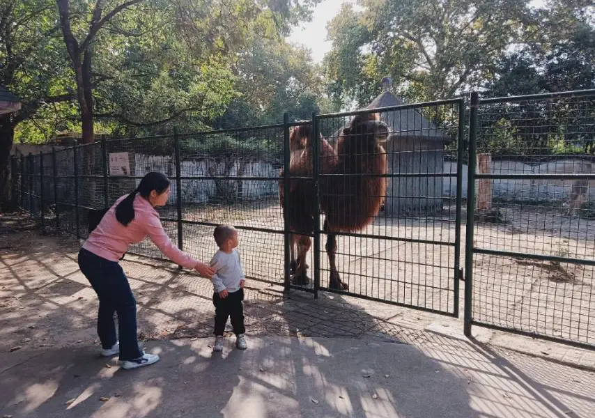 安慶動物園