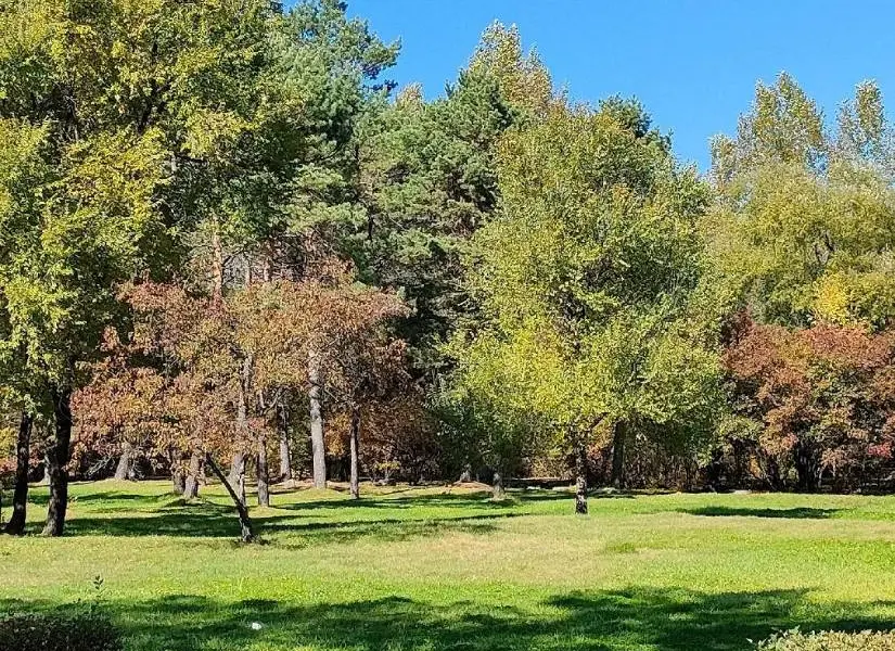 松鶴西湖公園