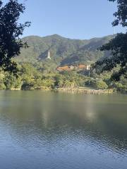 Xianhu Reservoir