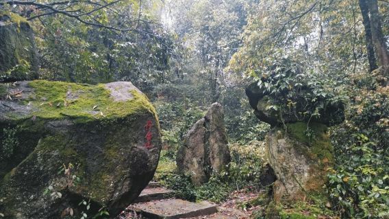 Dongshan Mountain