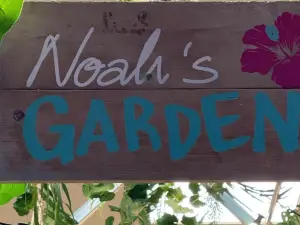 Noah's Place - Café. Deli. Bar - Recklinghausen