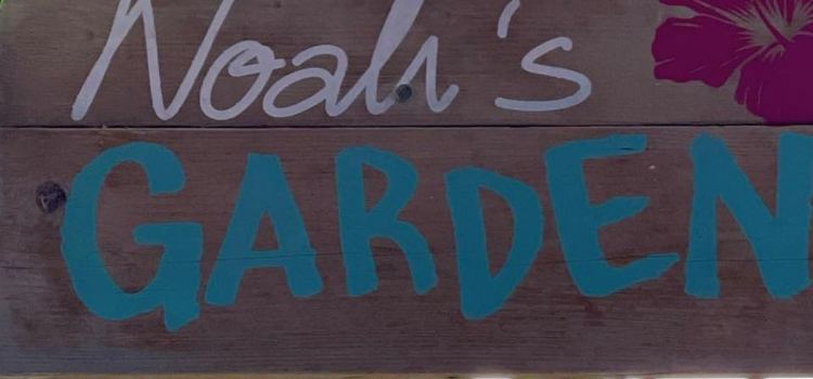 Noah’s & Zoe’s Place - Café. Deli. Bar / Recklinghausen