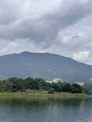 南平大洲島