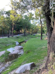 Municipal Garcia Lorca Park