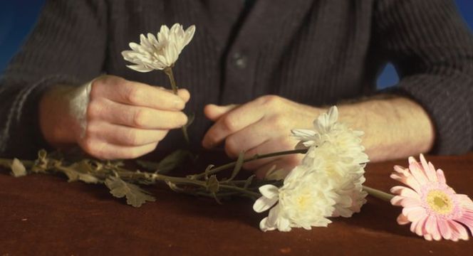 Freya Dooley. False Note | Sheffield