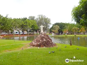 Lagoon Bird