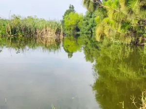 Metropolitano Park