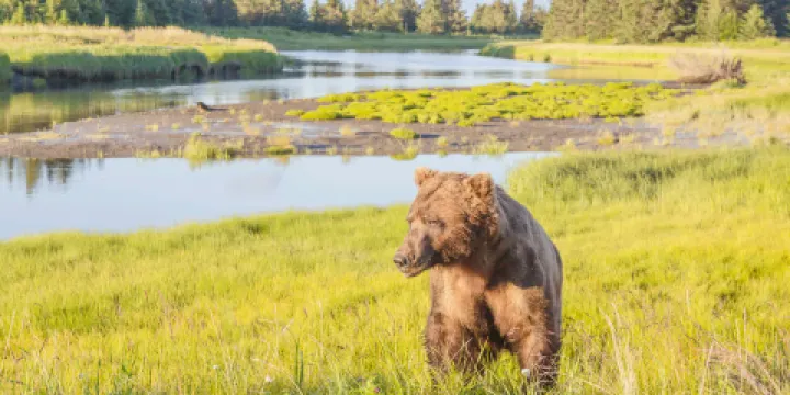 克拉克國家濕地公園