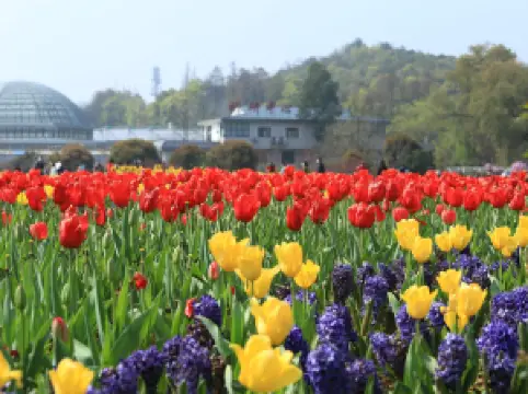 Hunan Forest Botanical Garden