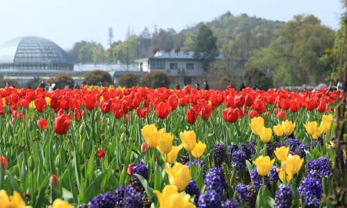 Hunan Forest Botanical Garden