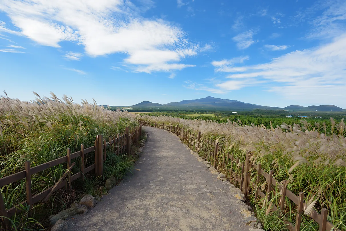 5_산굼부리