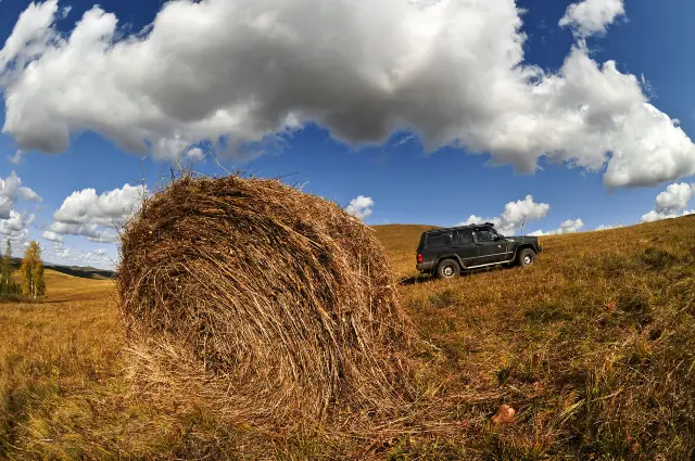 Off-road Adventures in Hulunbuir