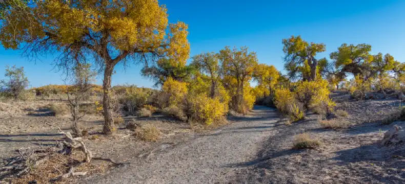 Hotels in Mulei