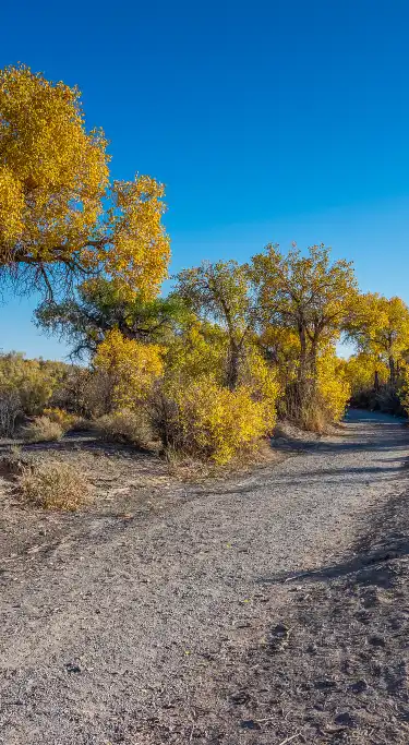 Các khách sạn ở Mori