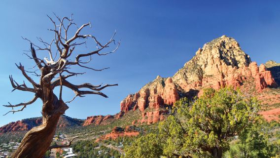 Sugarloaf Trailhead