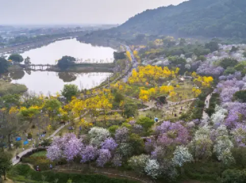 Xiqiao Mountain Scenic Area