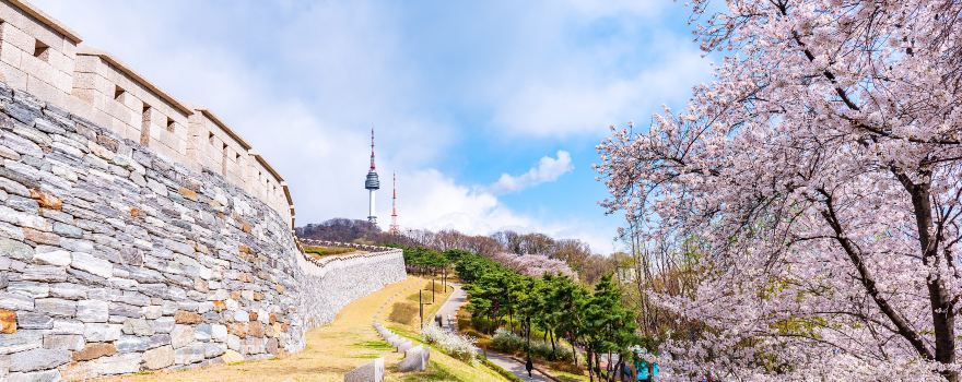 남산 공원