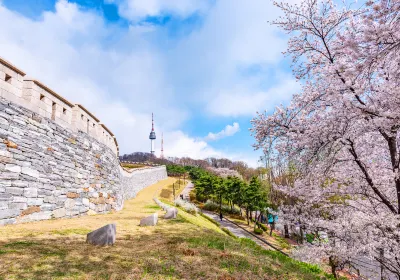Namsan Park