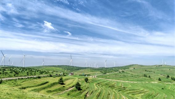 Potala Viewing Platform