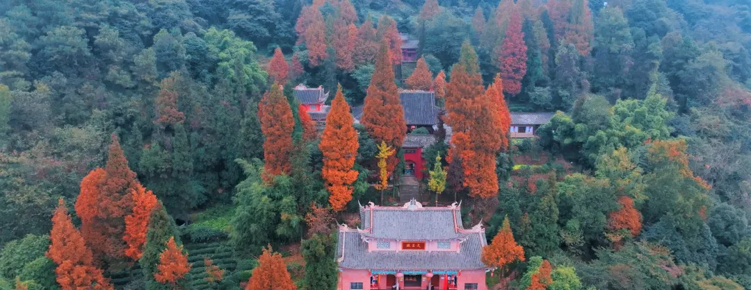 Fall Viewing Attractions