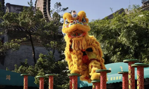 佛山舞獅表演