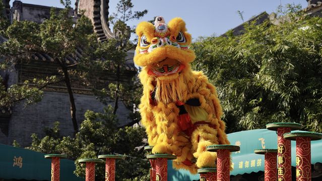 Lion Dance Performances in Foshan